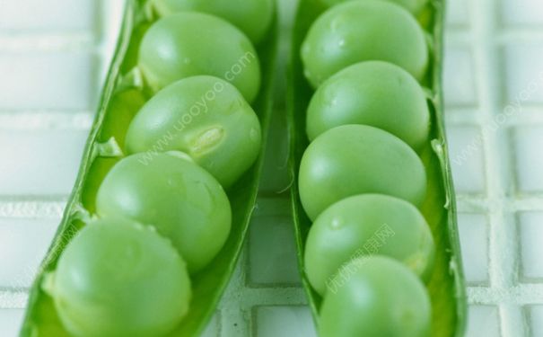 豌豆是涼性還是熱性？豌豆是涼性食物嗎？(2)