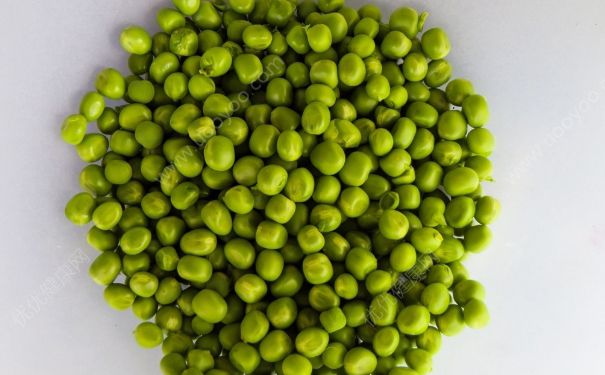 豌豆是涼性還是熱性？豌豆是涼性食物嗎？(4)
