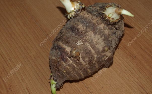 芋頭發(fā)芽可以吃嗎？發(fā)芽的芋頭能吃嗎？(2)