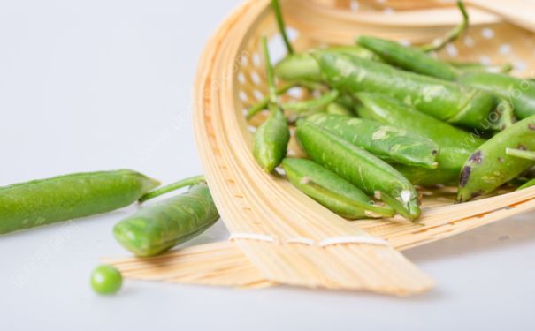 豌豆和玉米能一起吃嗎？豌豆和玉米一起吃好嗎？(4)