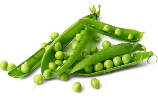 豌豆是發(fā)物嗎？豌豆是不是發(fā)物？(4)
