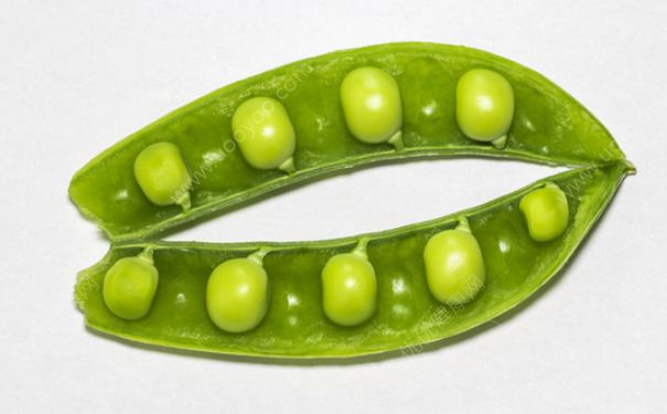 豌豆能打豆?jié){嗎？豌豆打豆?jié){可以嗎？(1)