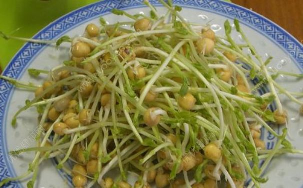 豌豆芽發(fā)芽了還能吃嗎？發(fā)芽的豌豆可以吃嗎？(2)