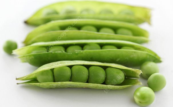 吃豌豆會(huì)便秘嗎？豌豆會(huì)不會(huì)便秘？(4)