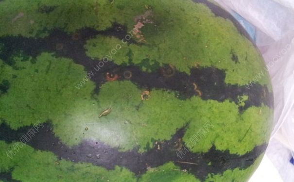 西瓜有沒(méi)有打藥？西瓜打藥了是什么樣子？(4)