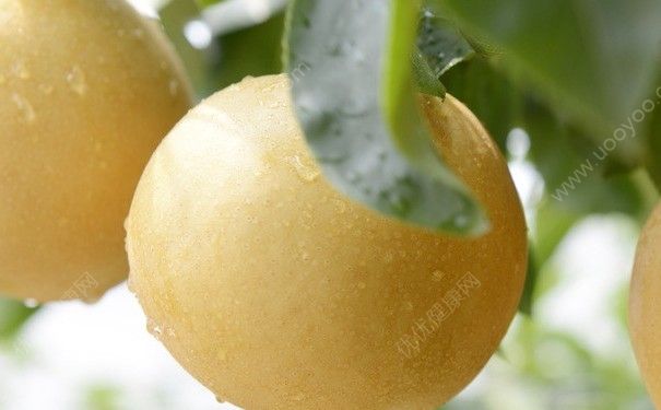 杏和梨能一起吃嗎？杏子和雪梨可以一起吃嗎？(4)