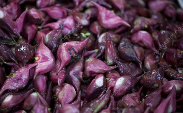 蜂蜜水能泡菱角仁嗎？菱角和蜂蜜能一起吃嗎？(1)