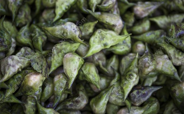 蜂蜜水能泡菱角仁嗎？菱角和蜂蜜能一起吃嗎？(4)