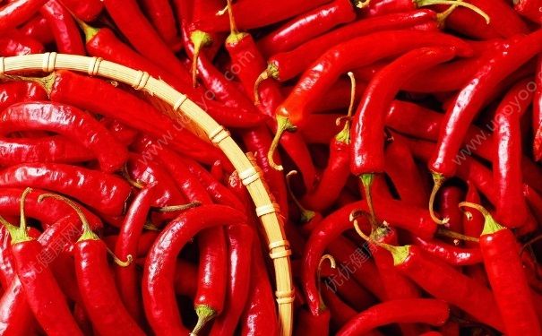 莫文蔚亮相成都 吃辣椒對(duì)身體有什么好處？(13)