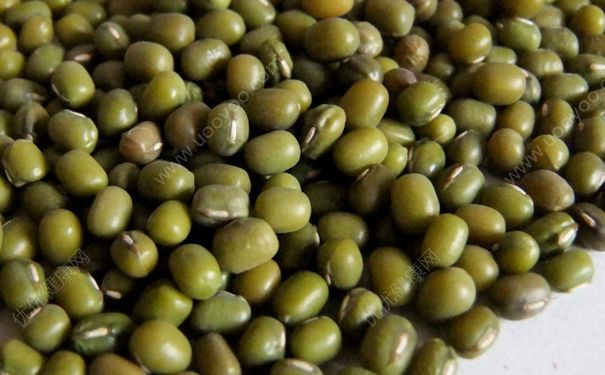 栗子和綠豆能一起吃嗎？板栗和綠豆可以一起煮粥嗎？(4)