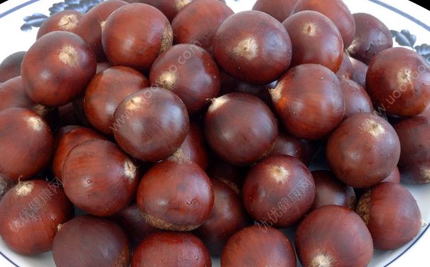 板栗和牛肉能一起吃嗎？栗子和牛肉一起吃好嗎？(1)