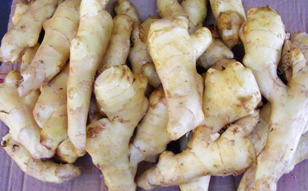 生姜吃多了有什么壞處？姜吃多了會(huì)怎樣？(2)
