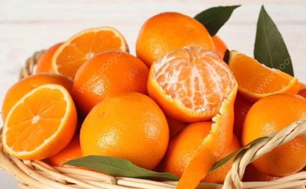 橘子可以煮著吃嗎？橘子煮著吃好嗎？(1)