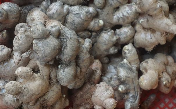 生姜發(fā)黑了可以吃嗎？變黑的生姜能吃嗎？(2)