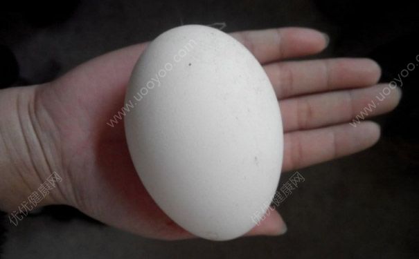 蘋(píng)果和鵝蛋能一起吃嗎？蘋(píng)果和鵝蛋一起吃好嗎？(1)