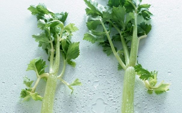 芹菜汁能空腹喝嗎？空腹可以喝芹菜汁嗎？(3)