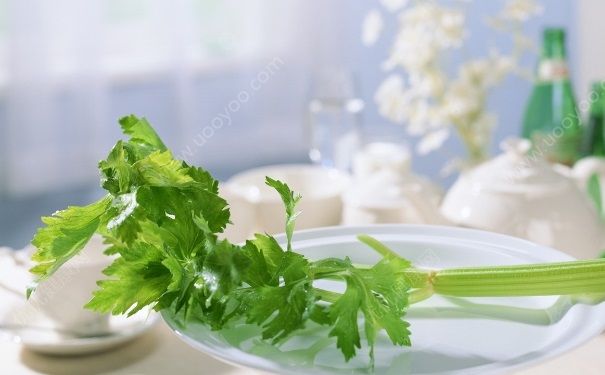 芹菜汁能空腹喝嗎？空腹可以喝芹菜汁嗎？(4)
