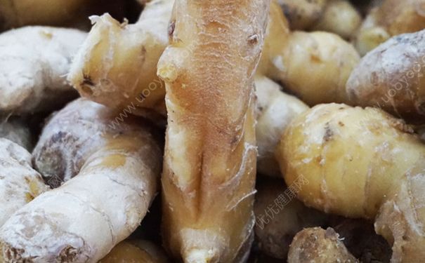 生姜和牛奶能一起吃嗎？牛奶和生姜同食好嗎？(3)