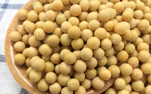 性冷淡吃什么可以調(diào)理？欲望低下吃什么好？(2)