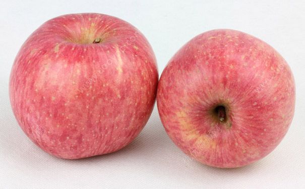 蘋(píng)果和火龍果哪個(gè)減肥？蘋(píng)果和火龍果哪個(gè)熱量高？(5)