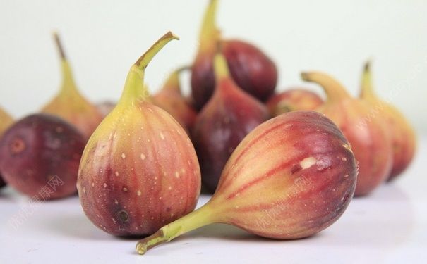 吃無花果會(huì)上火嗎？無花果吃多了上火嗎？(1)