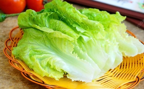 生菜能生吃嗎？生菜可以生吃嗎？(1)