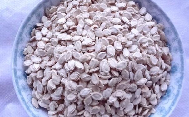 冬瓜子如何美白？用冬瓜子怎么護膚？(1)