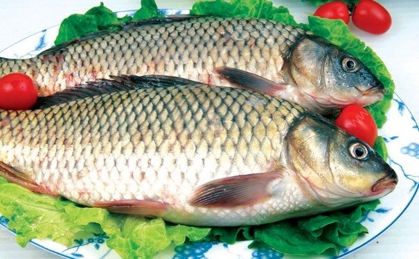 孕婦吃鯉魚有什么好處？孕婦吃鯉魚好嗎？(1)
