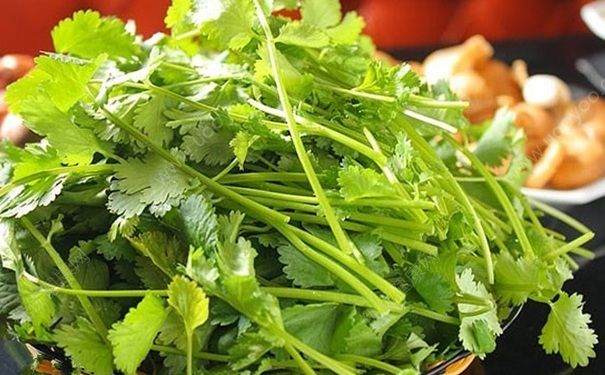 香菜的營養(yǎng)價值高嗎？香菜怎么吃最好？(1)