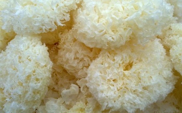 吃銀耳有什么好處？吃銀耳的好處？(1)