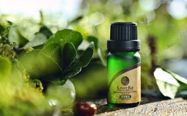 茶樹精油可以有效祛痘嗎？茶樹精油怎么自制？(1)