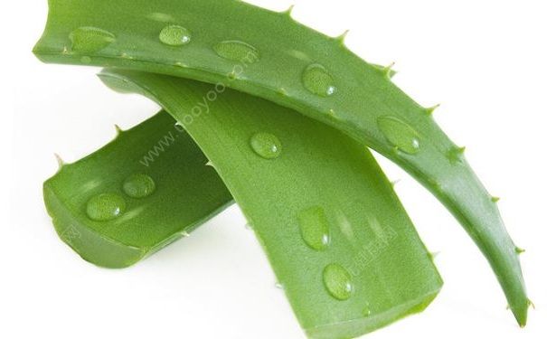 曬傷應(yīng)該怎么樣進(jìn)行調(diào)理和保養(yǎng)？曬傷后修護(hù)的方法有哪些？(1)