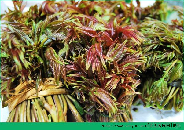香椿有什么功效和作用？谷雨節(jié)后的香椿頭還能吃嗎？(3)