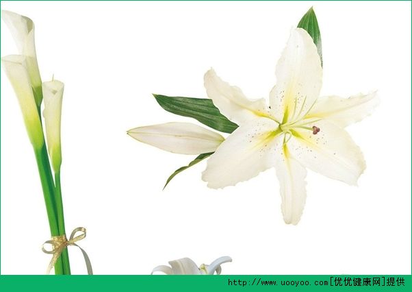 花茶的種類(lèi)有哪些？花茶的功效與作用(10)