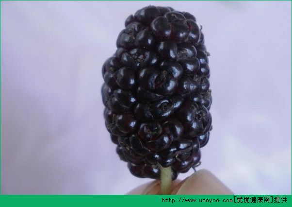 桑葚能和紅糖一起吃嗎？桑葚和紅糖一起吃好不好？(1)