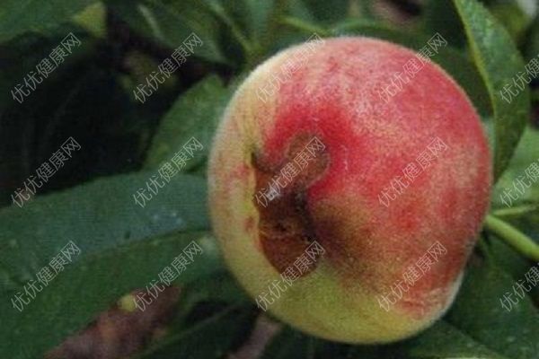 桃子上長黑斑是怎么回事？桃子黑心可以吃嗎？(1)
