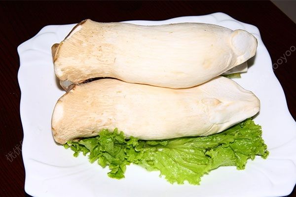 痛風(fēng)能吃蘑菇嗎？痛風(fēng)能吃蘑菇菌類嗎？(3)