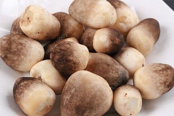 蘑菇什么樣是壞了？蘑菇壞了還能吃嗎？(2)