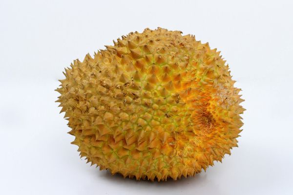 荔枝和榴蓮能一起吃嗎？荔枝和榴蓮一起吃好不好？(2)