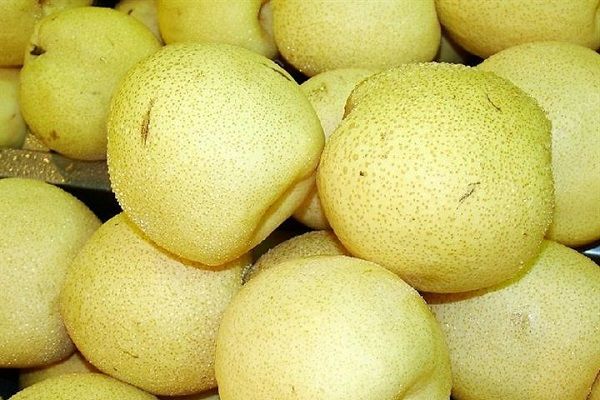 桃子和梨子能一起吃嗎？桃子和梨子一起吃好嗎？(3)
