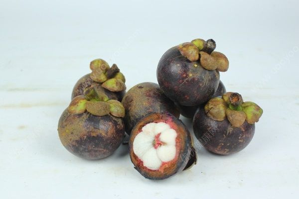 產(chǎn)后能吃山竹嗎？坐月子可以吃山竹嗎？(4)