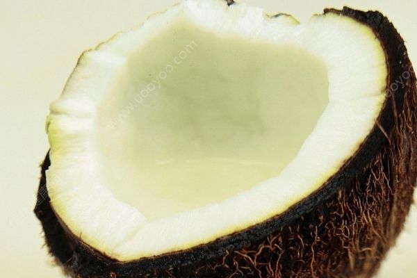 椰子可以帶上飛機嗎？坐飛機可以帶椰子嗎？(2)