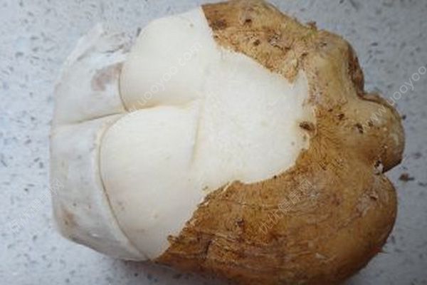 地瓜是什么？地瓜是什么樣子？(3)