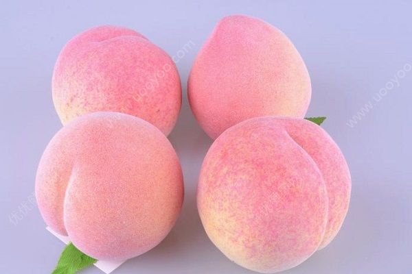 桃子吃完能喝水嗎？吃完桃子后可以喝水嗎？(1)