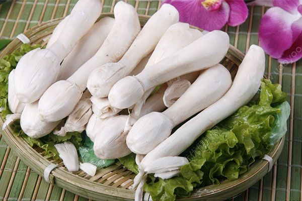 雞腿菇有什么營養(yǎng)？雞腿菇和杏鮑菇的區(qū)別(4)