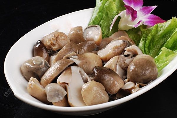 草菇怎么做好吃？草菇的營養(yǎng)價值(1)