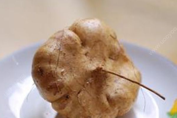 地瓜怎么挑選？怎么樣的地瓜好吃？(2)