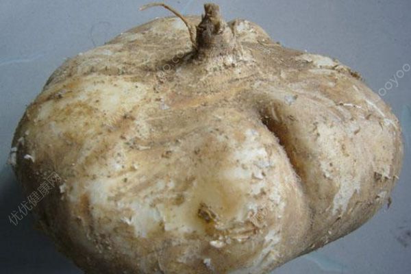 地瓜怎么挑選？怎么樣的地瓜好吃？(3)