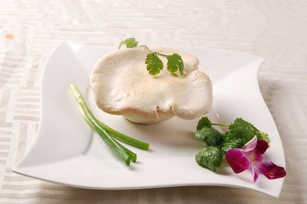 白靈菇的營養(yǎng)價值，白靈菇和杏鮑菇的區(qū)別(1)