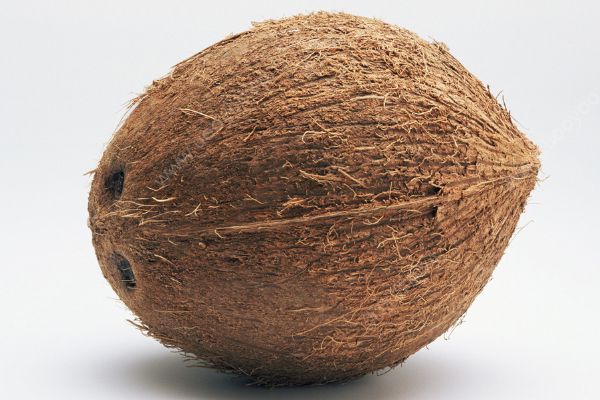 椰子是什么季節(jié)的水果？椰子幾月份成熟？(1)